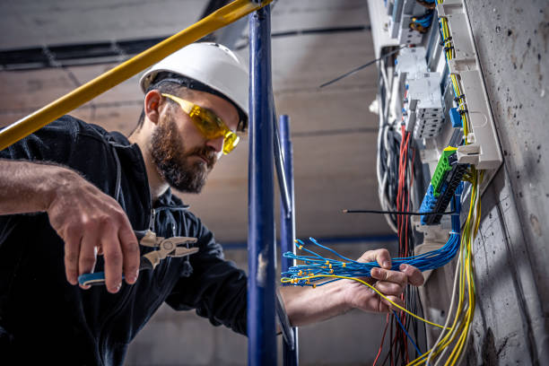 Best Electric Panel Repair  in Pleasant View, UT